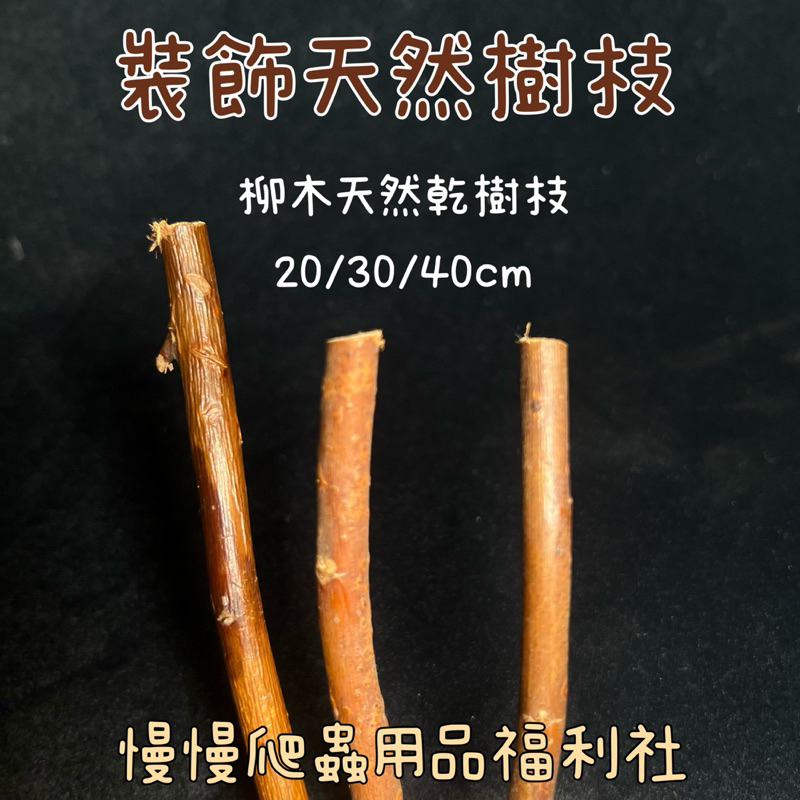 tw-11134207-23020-olypx1e5a0mv71