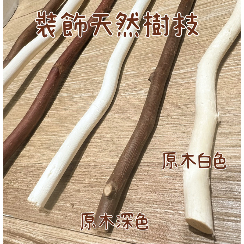 tw-11134207-7qukx-lg7r09veoyzuc7