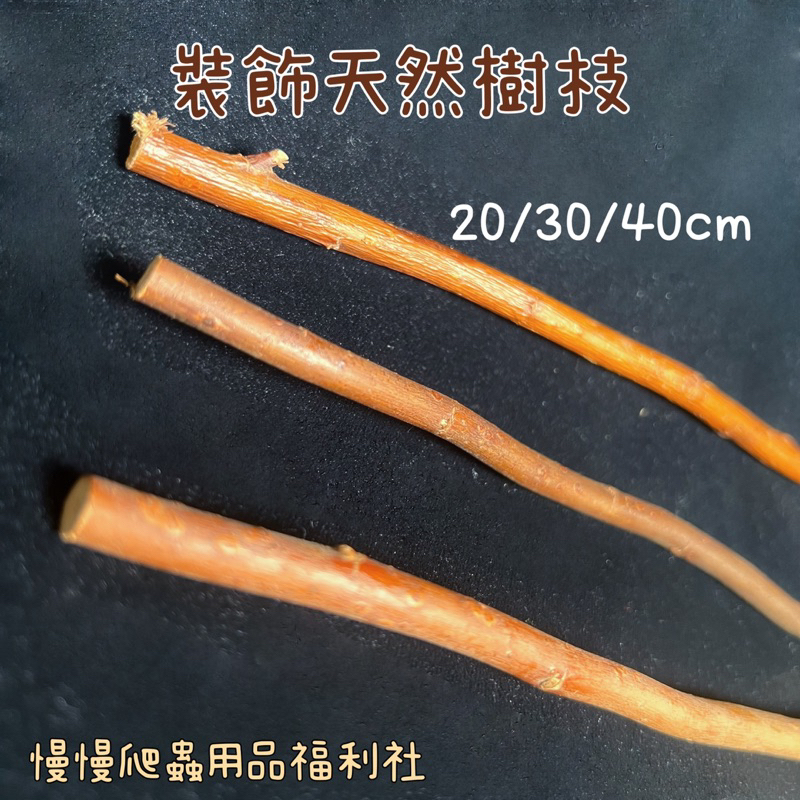 tw-11134207-23020-zwjox1e5a0mv3e