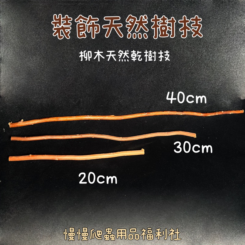 tw-11134207-23020-91jox1e5a0mv95