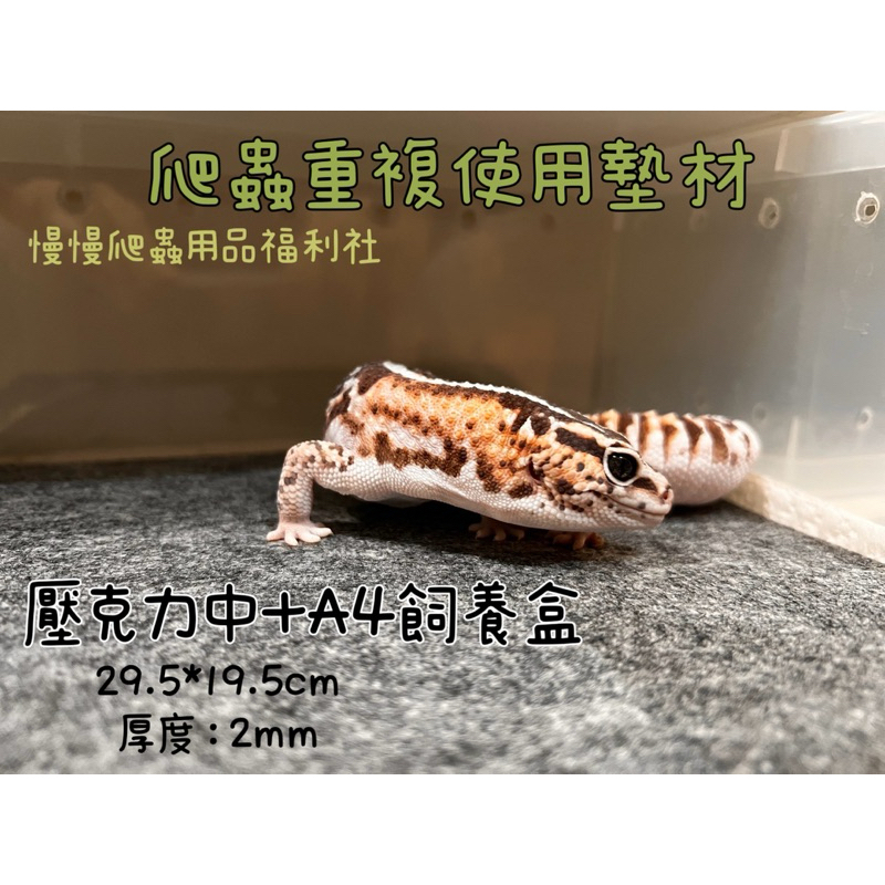 tw-11134207-7rasi-m3x7v8au3hppca