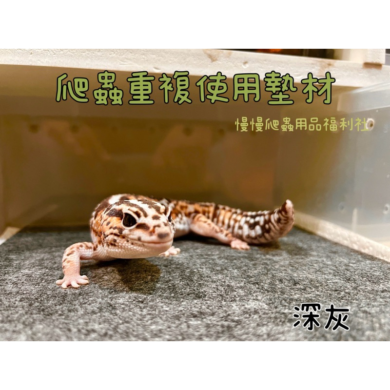 tw-11134207-7ras9-m3x7v8ato1gtfa