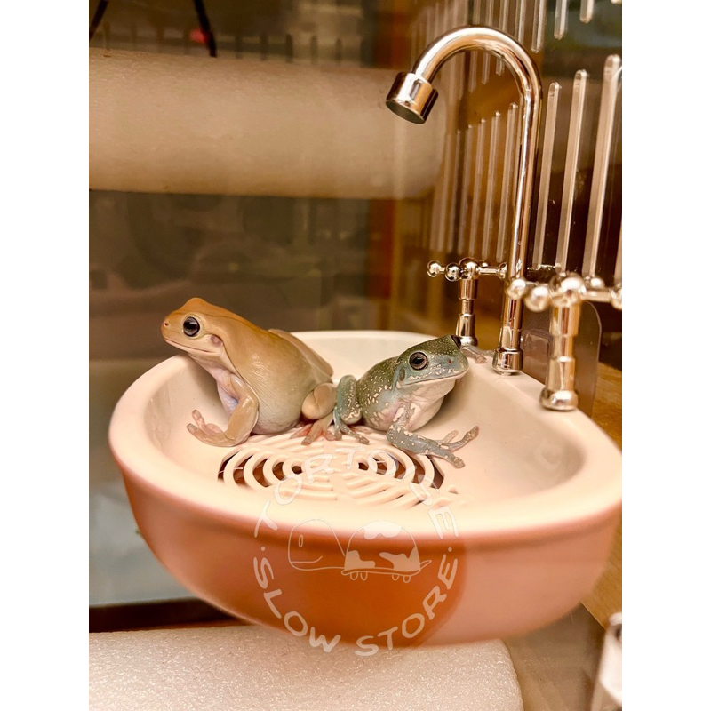 tw-11134207-7rbk0-m9tri70bihg2c9