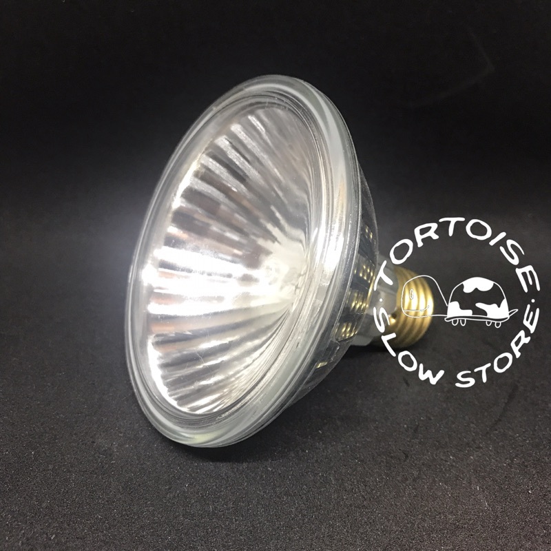 823fdbe8b3bd09fe603a54f667429d83