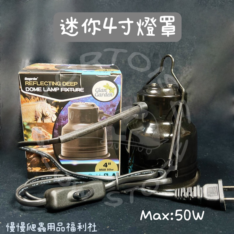 tw-11134207-23020-miu4eoiuatnv2c