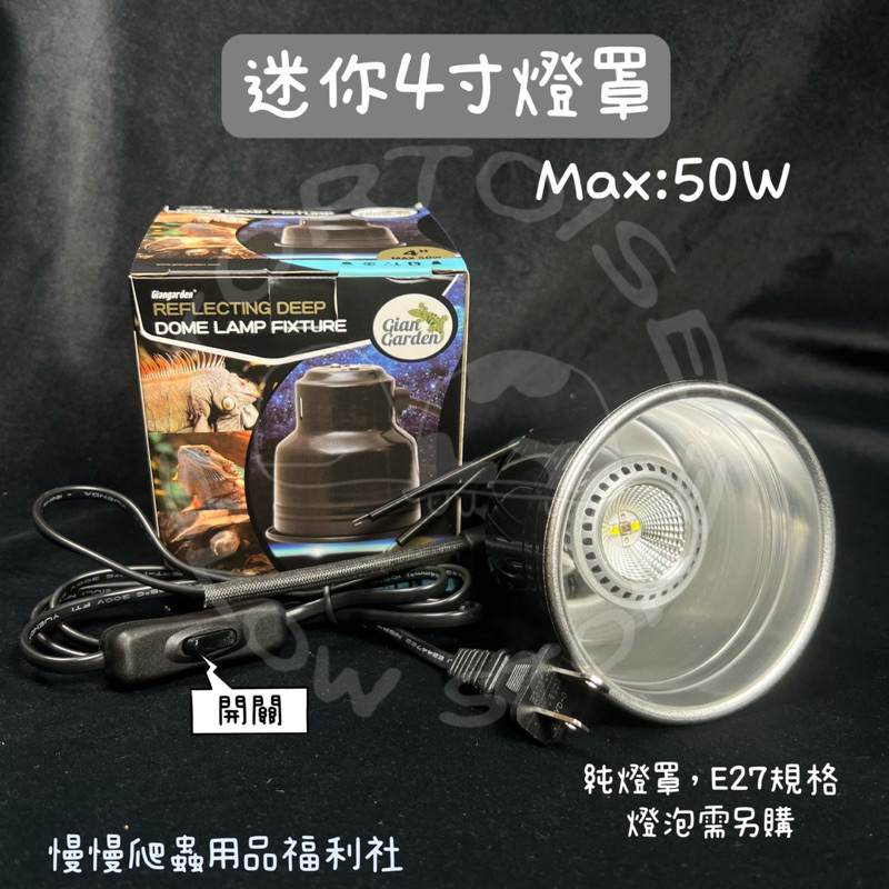 tw-11134207-23020-5d21eoiuatnvee