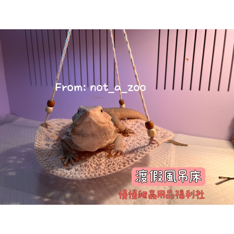 tw-11134207-7qul9-lgkwsaj63f3e8a