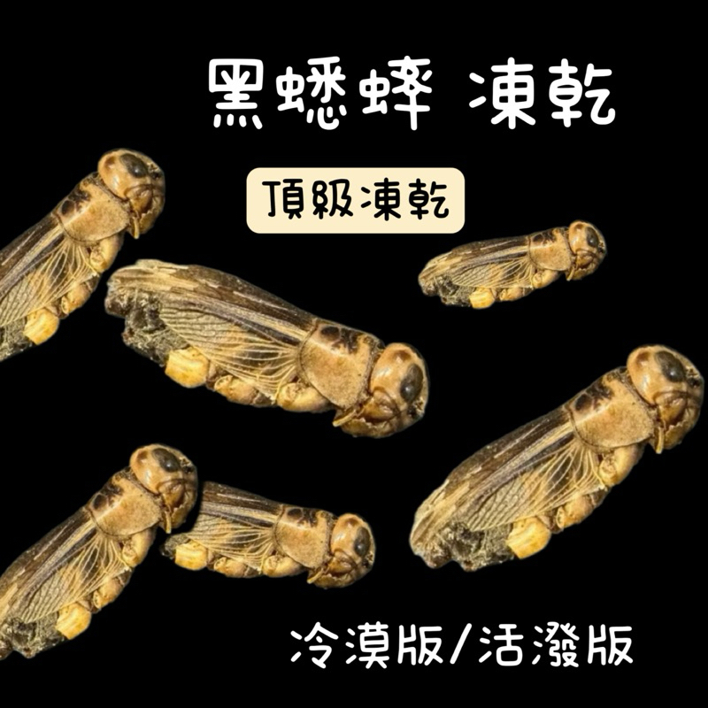 tw-11134207-7rbk8-ma0sjreglv7dc4