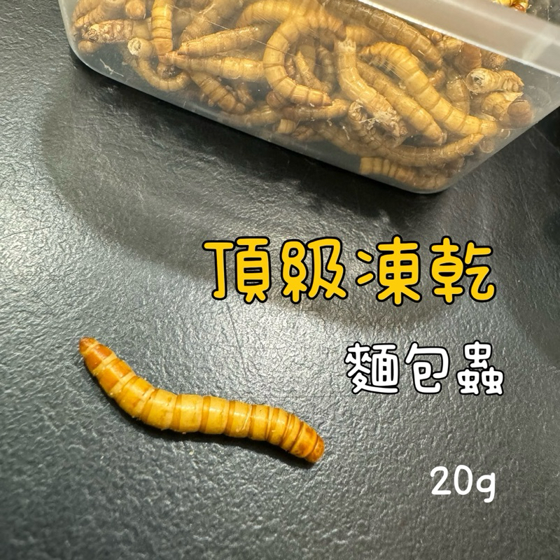 tw-11134207-7r98u-lstuwjangsg817