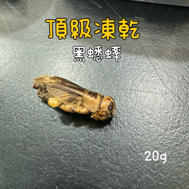 tw-11134207-7r990-lstxd4k1wemg08