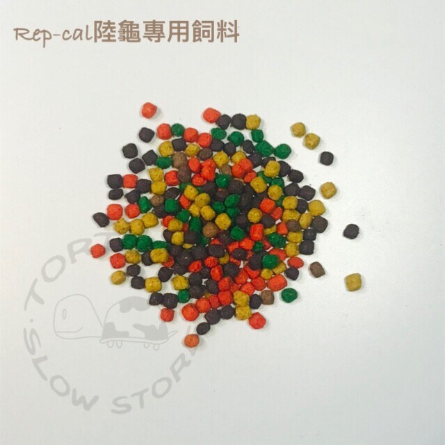 0dbe9f6ba885accb80ca471c3fbe42f2