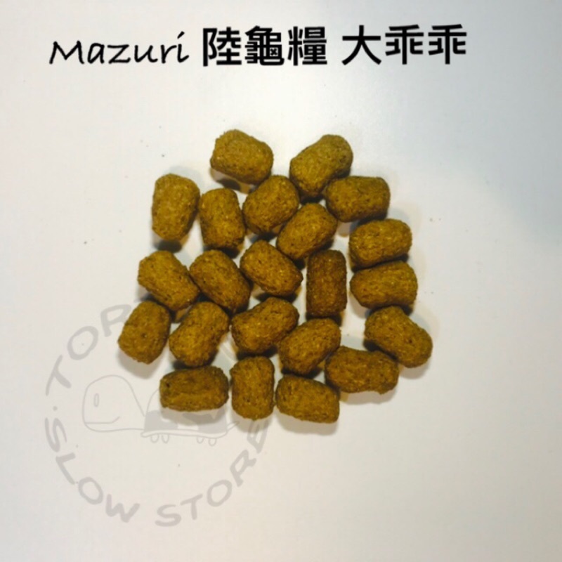 6e6aa95b14fe4c13860a8b29c793bcd2