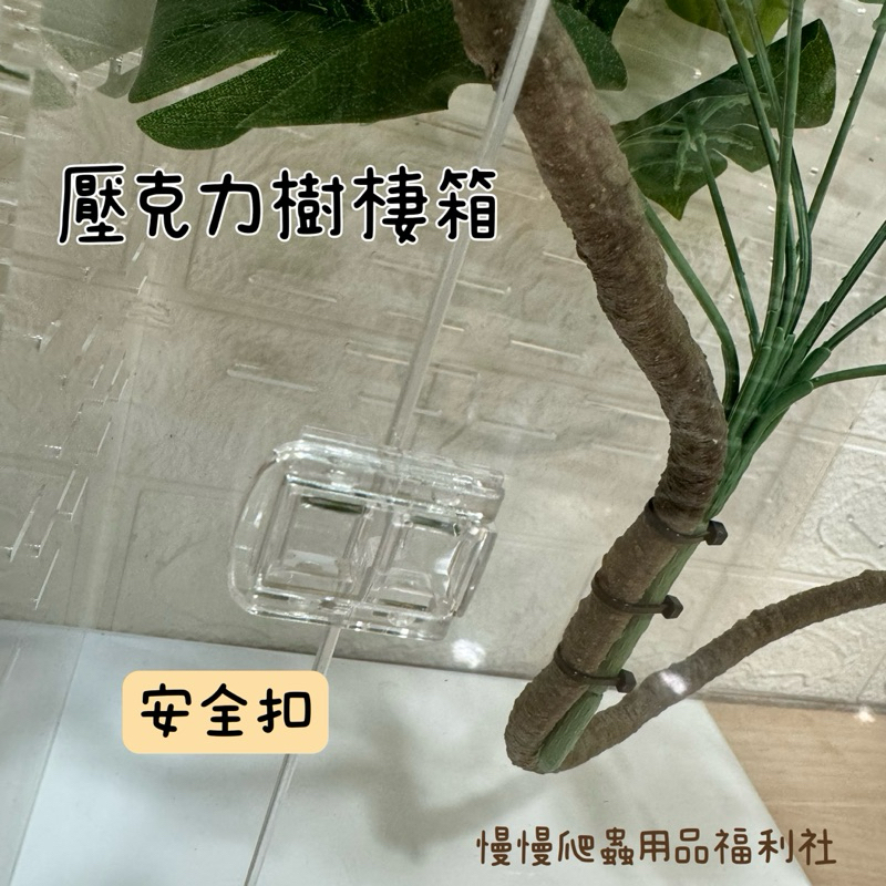 tw-11134207-7r98p-lt3tfr7icbgof9