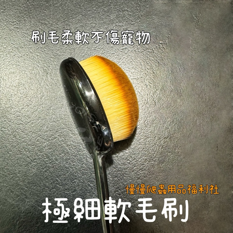 tw-11134207-7r98r-lwy2f7c04egg27