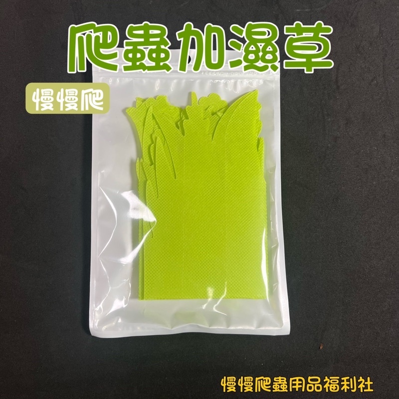 ebb4077c9029a21d3ebca3a3ab3bc808