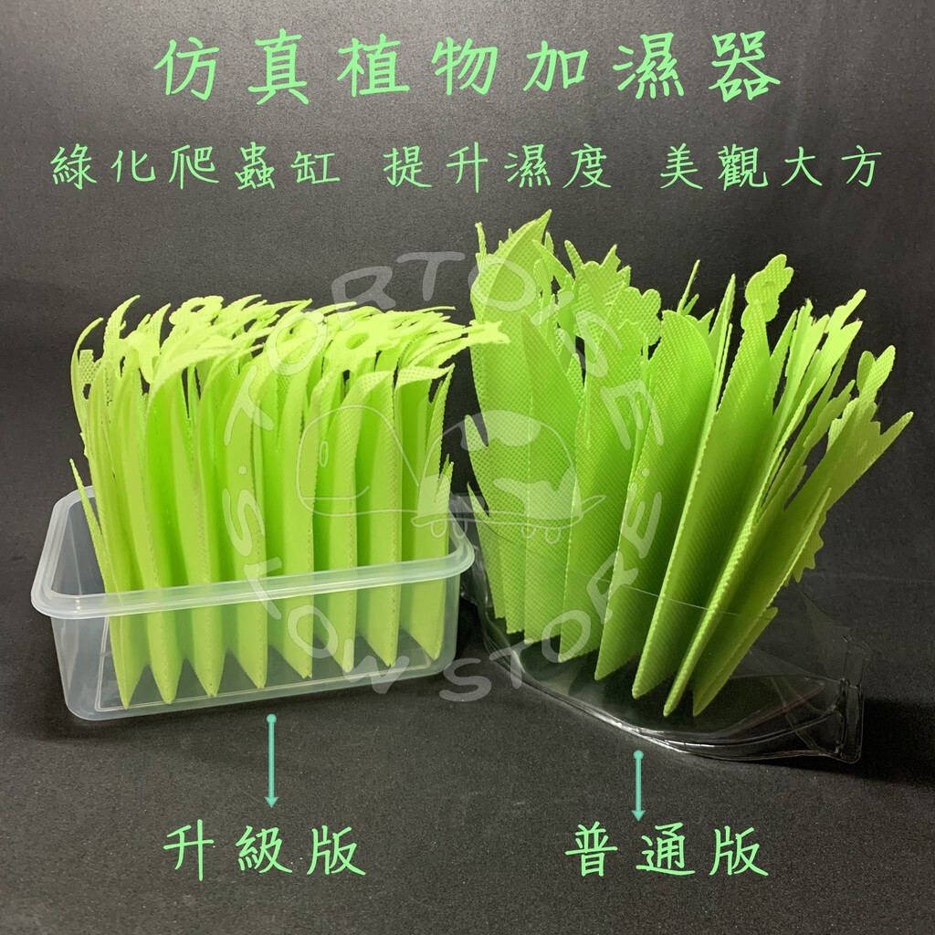 ae896334d7863999ee68fc06324420db