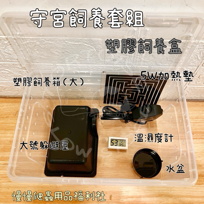 tw-11134207-7rasi-m4bvdgtuve5j6f