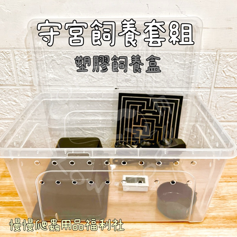 tw-11134207-7rasl-m402zp892ojk71