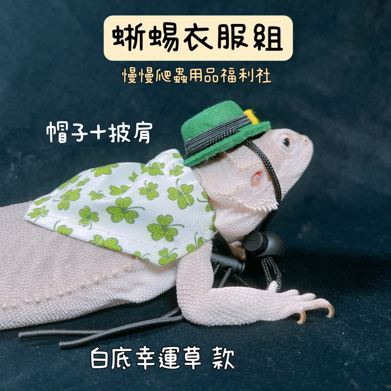 tw-11134207-23020-oxr1y8pea0mva2