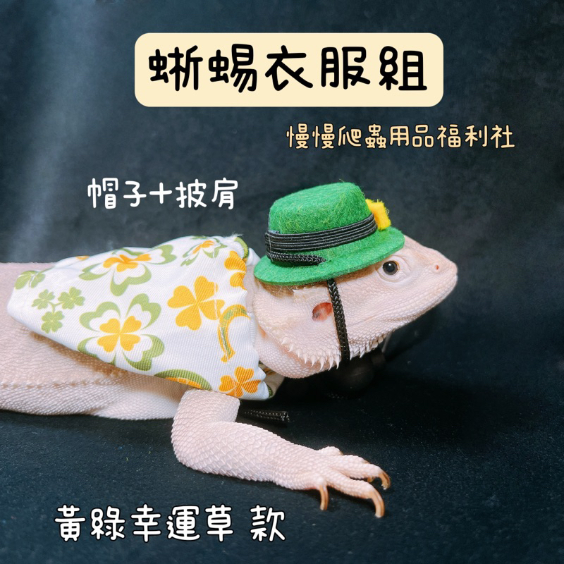 tw-11134207-23020-13j8enq509mvb6