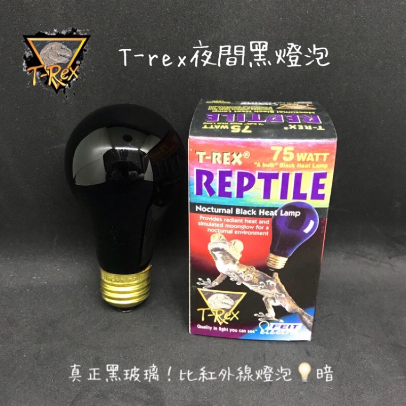 32779ed38edda8ca9006384ff868b022