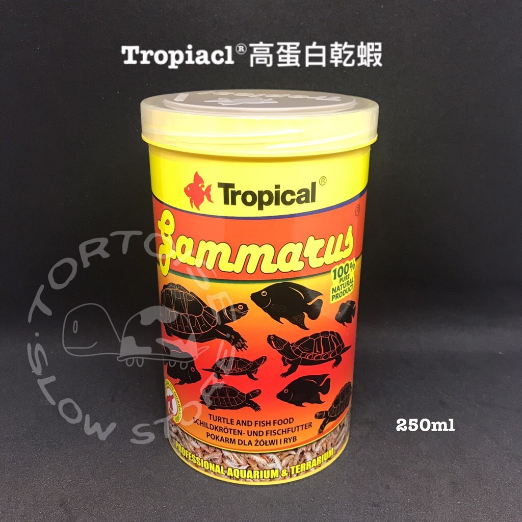 81acbb8778eda2485a89e751f4cfa9cc