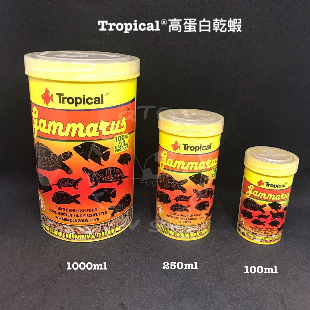 ff24e20c602f0c6244d04c0817d45658