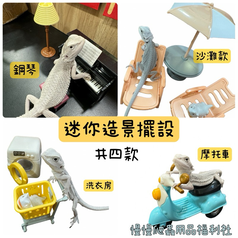 tw-11134207-7r98u-lzj3468owvskb4