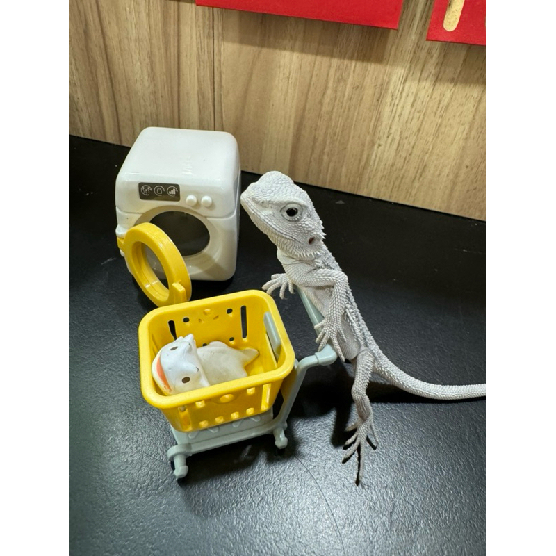 tw-11134207-7r98y-lzj3468nibdq24