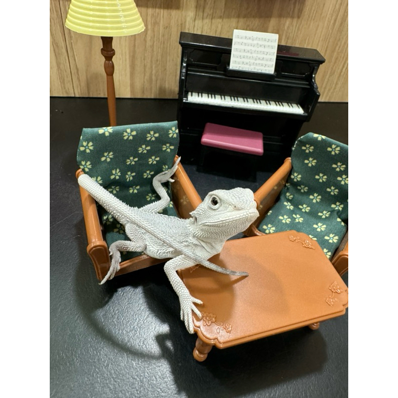 tw-11134207-7r992-lzj3468oaepg09