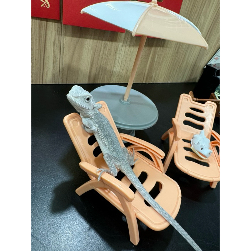 tw-11134207-7r990-lzj3468or9is24