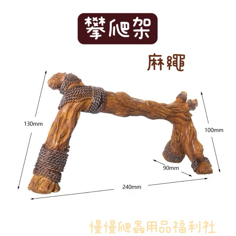 tw-11134207-7r98w-m0061rqmhodx9c