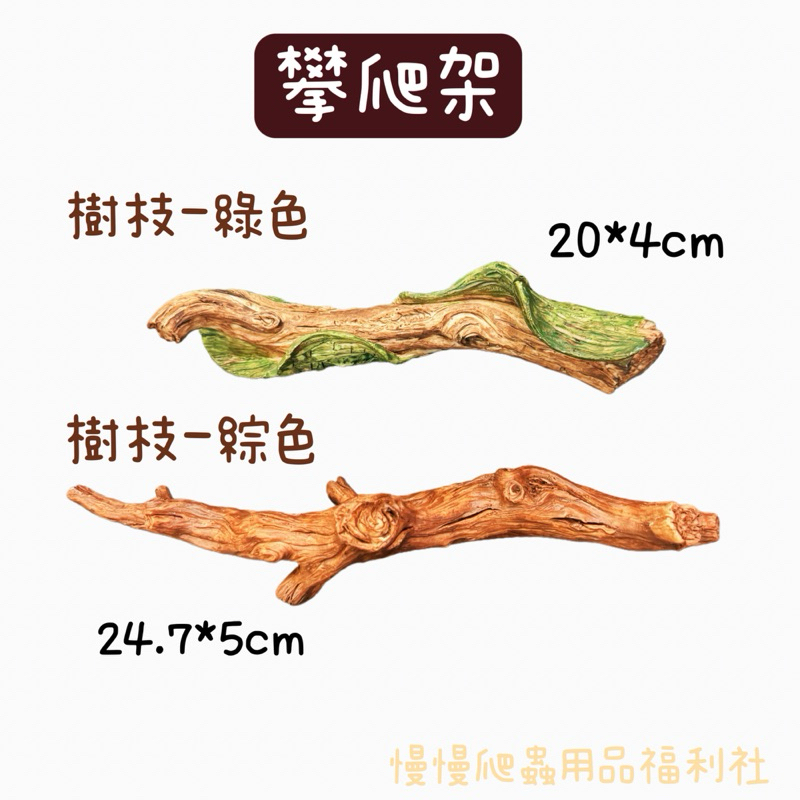 tw-11134207-7r98u-m0061rqd1qqn9a