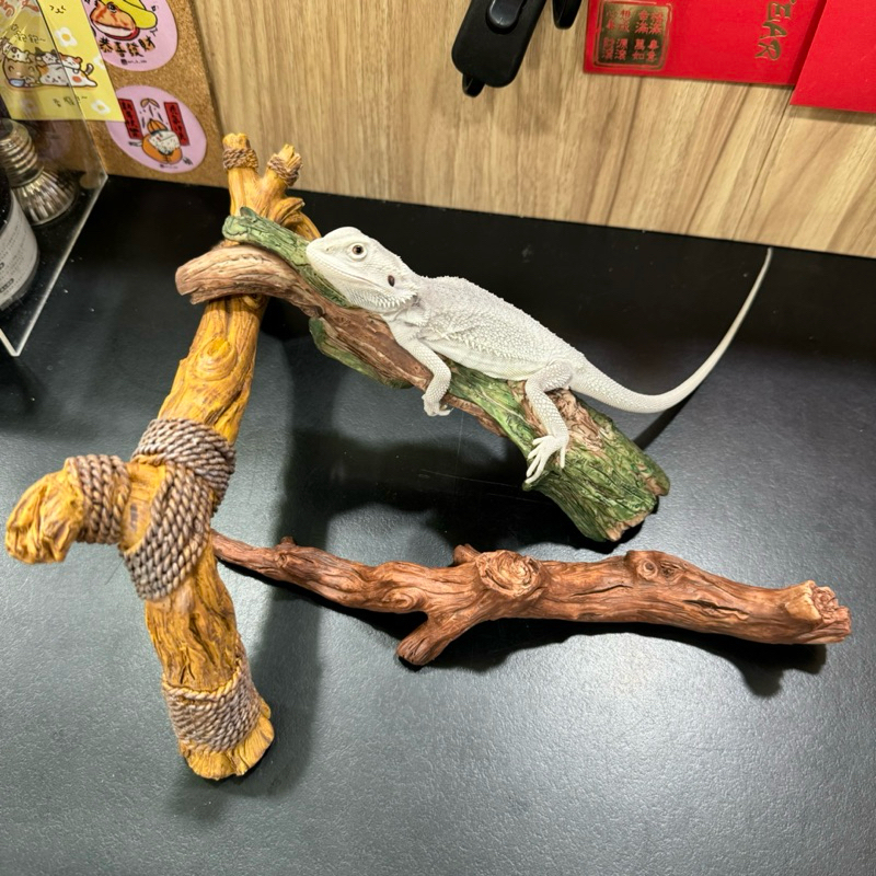 tw-11134207-7r98w-m0061rqd0c673a