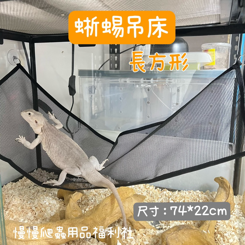 tw-11134207-23020-wv62lfzk6snv72