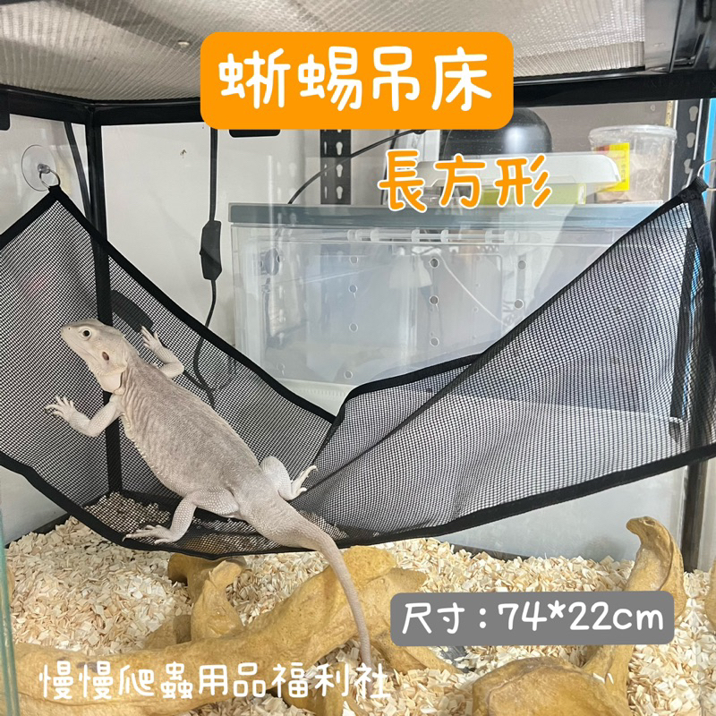 tw-11134207-23020-ijcnx8oj6snv5c