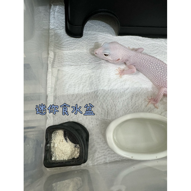 tw-11134207-7r98q-lxs9hxlebuw61c