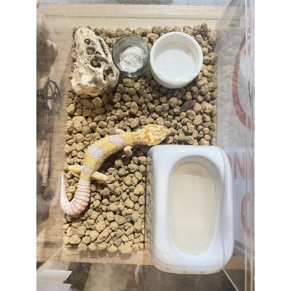 36d50ca33013878dcc3ef599fc72616a