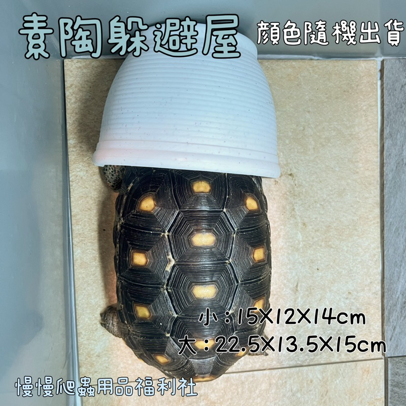 tw-11134207-23030-abre3hynkwov45