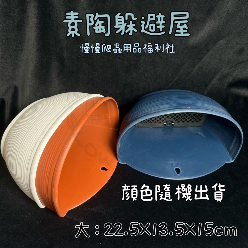 tw-11134207-23030-tu6f3hynkwov26