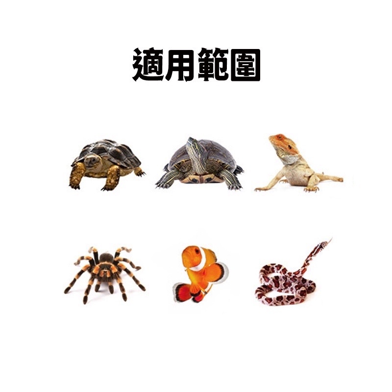 sg-11134201-22110-4c563aqt8dkv96