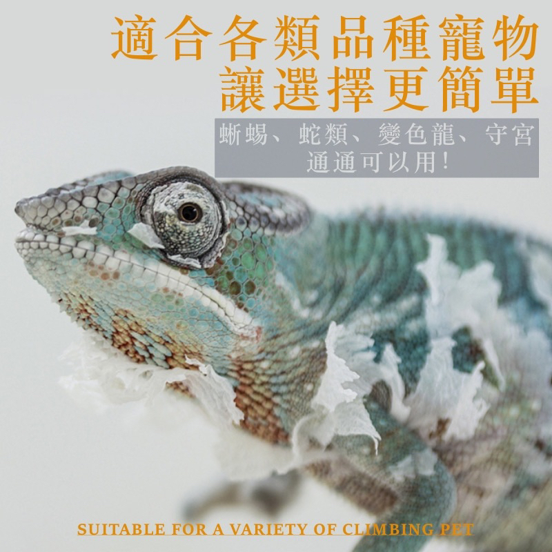 tw-11134207-7r98o-lkqijo4oxv5g9c