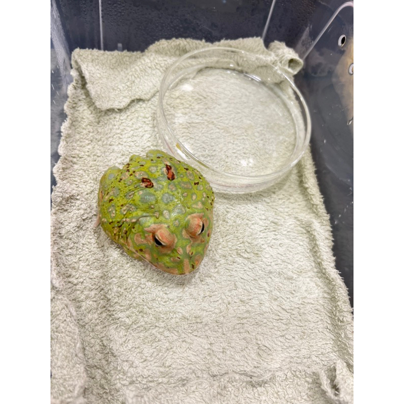 tw-11134207-23030-2g9ubhyg7qov92