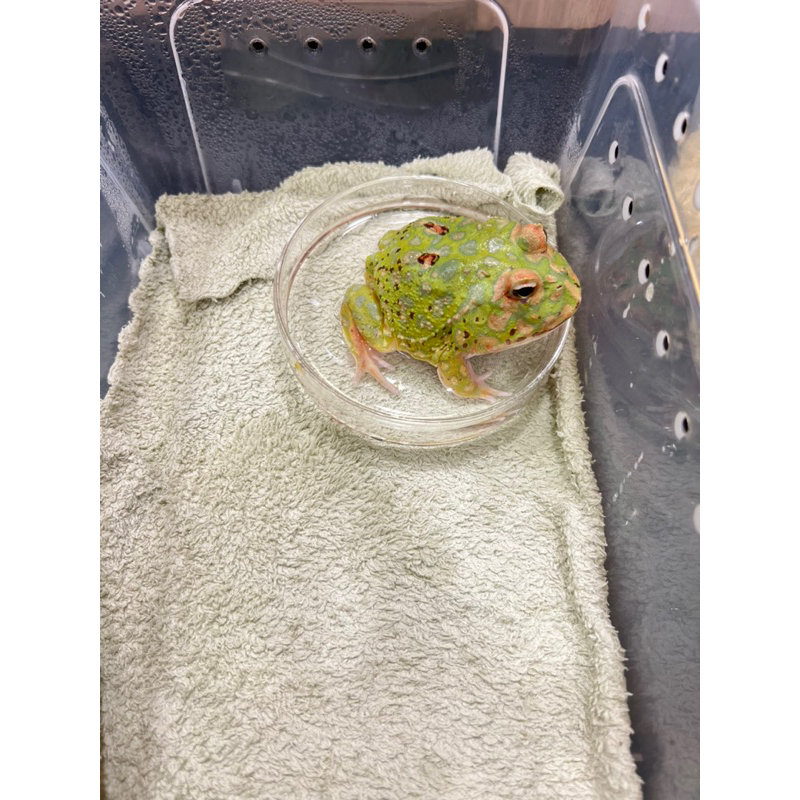 tw-11134207-23030-ixttbhyg7qov6c