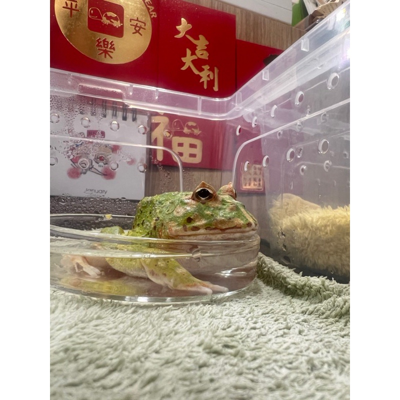 tw-11134207-23030-6bfsbhyg7qov86