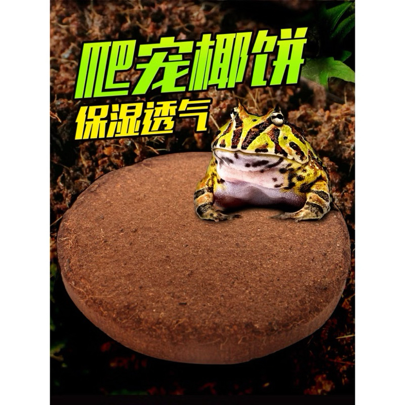 tw-11134207-7r98r-m08vhthsd9lzae