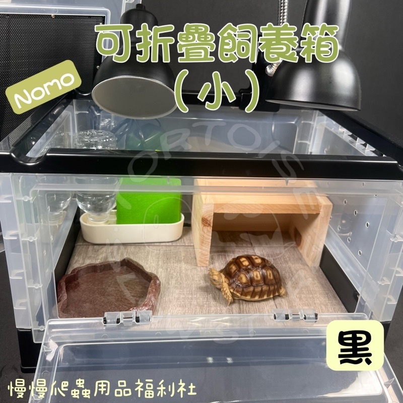 80f744b72db2f5c8c0f80ac4c4b11822