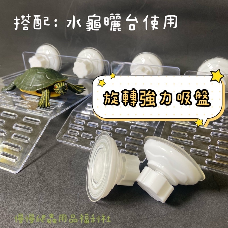 18f5a3449cb84ffe33289aae82619f24