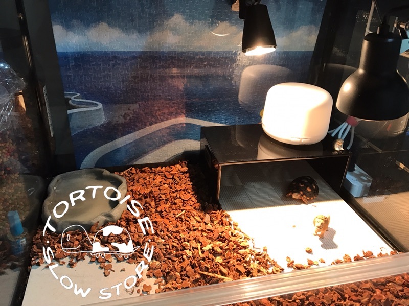 d91e7a61bba96709d8cbd7d59415d7a4