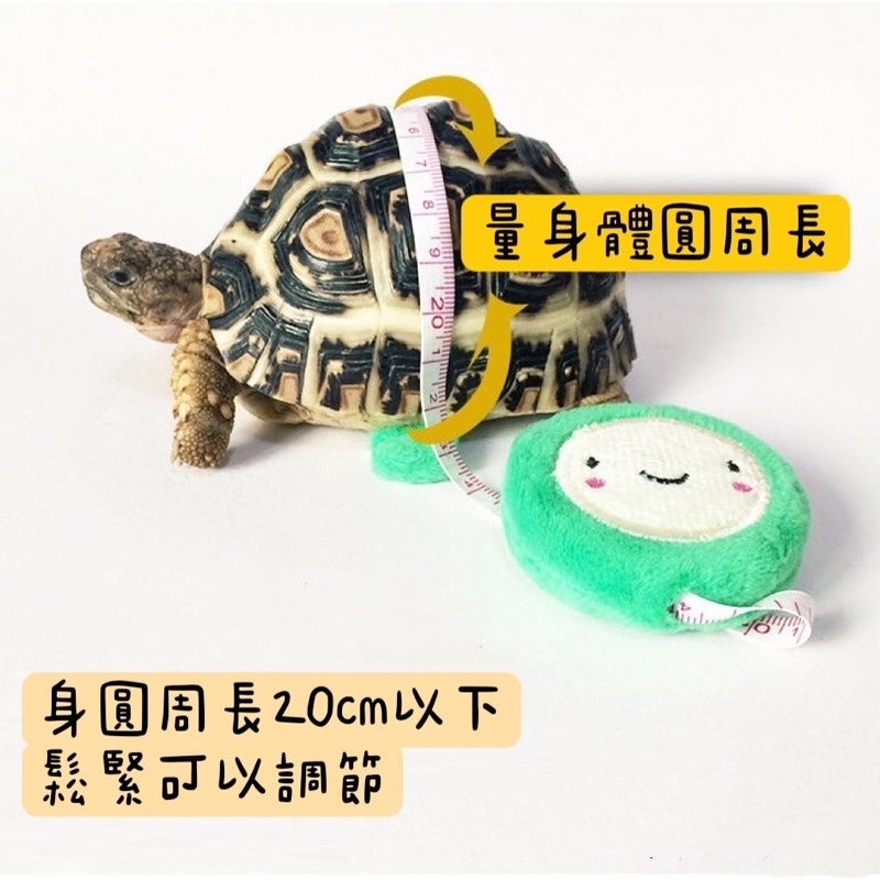 c17dc36e8bd093fc97d6c696c303c3ae